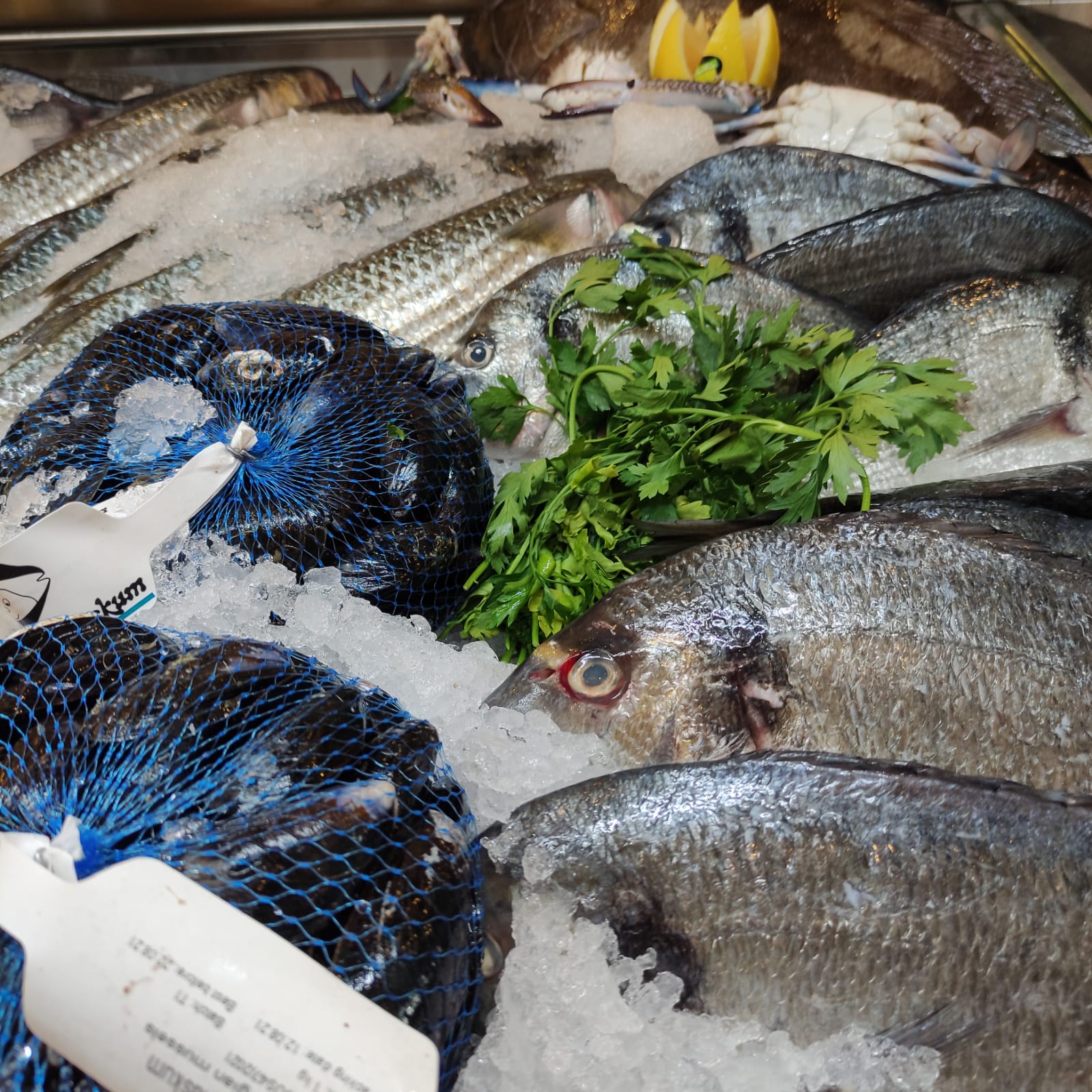 WhatsApp Image 2021-08-19 at 1.53.14 PM.jpeg